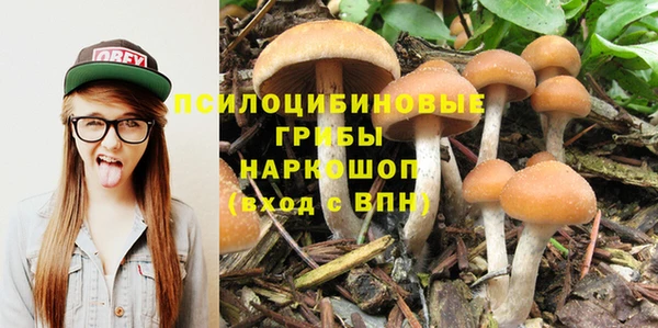 винт Усинск