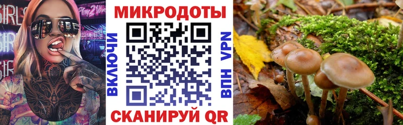 Галлюциногенные грибы прущие грибы  магазин продажи   Каргат 